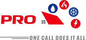 Pro Services